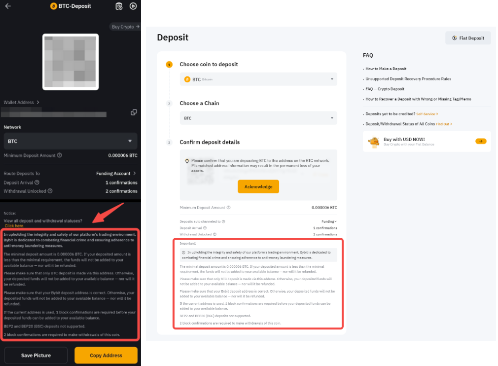 Official Bybit screenshot of the deposit address and chain page